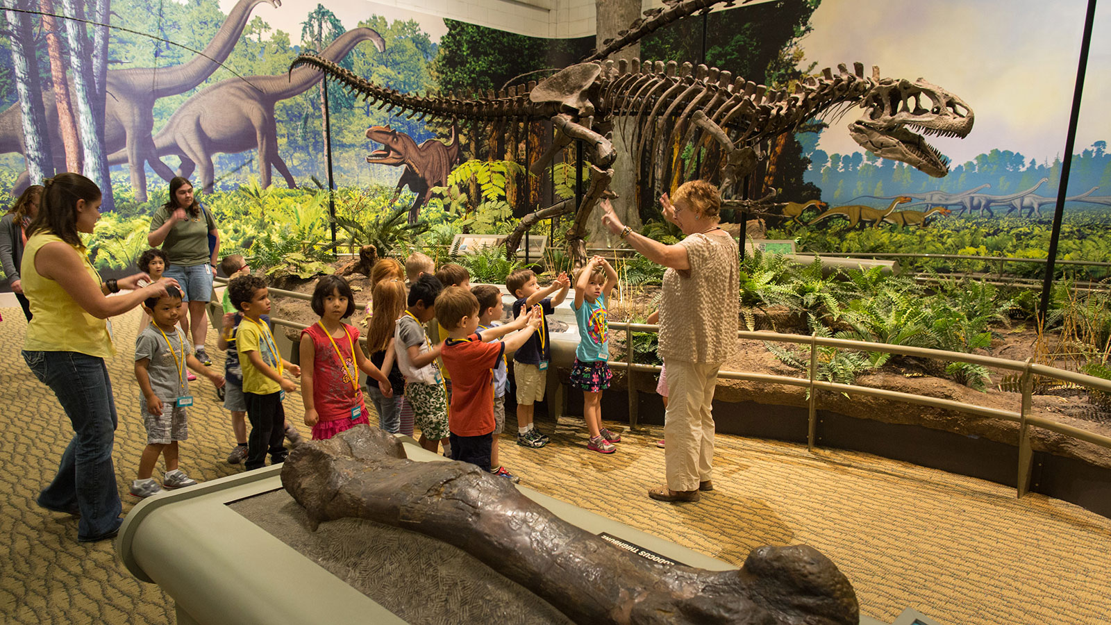 Carnegie Museums of Pittsburgh